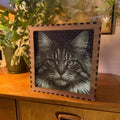 Cat Stipple Light Box | Walnut Veneer Dimmable Mood Light | Table or Wall Light | Handmade in Somerset UK