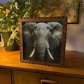Elephant Stipple Light Box | Walnut Veneer Dimmable Mood Light | Table or Wall Light | Handmade in Somerset UK