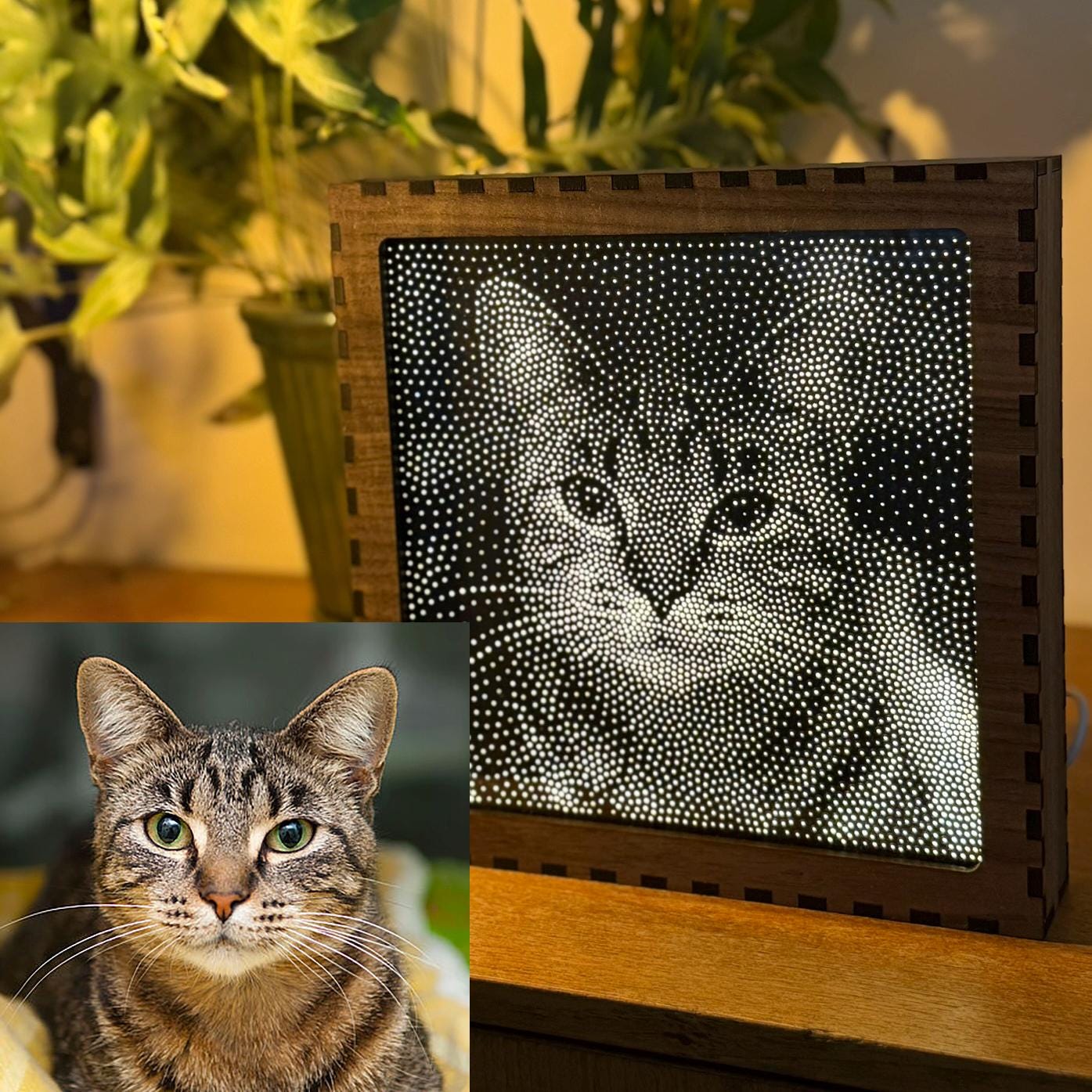 Custom Stipple Art Light Box from Your Photo | Personalised LED Lamp | Walnut Veneer Lightbox | Handmade in UK