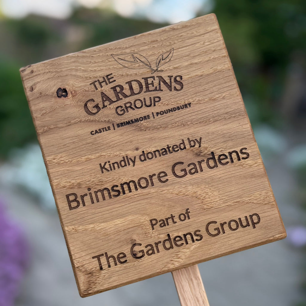 Oak Laser Engraved Signage