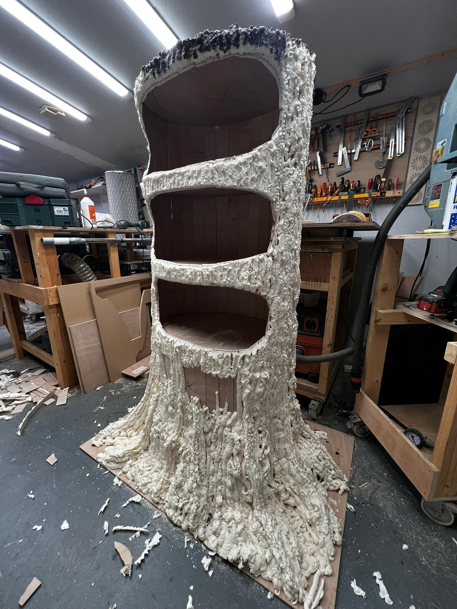Tree Shelves - 2025