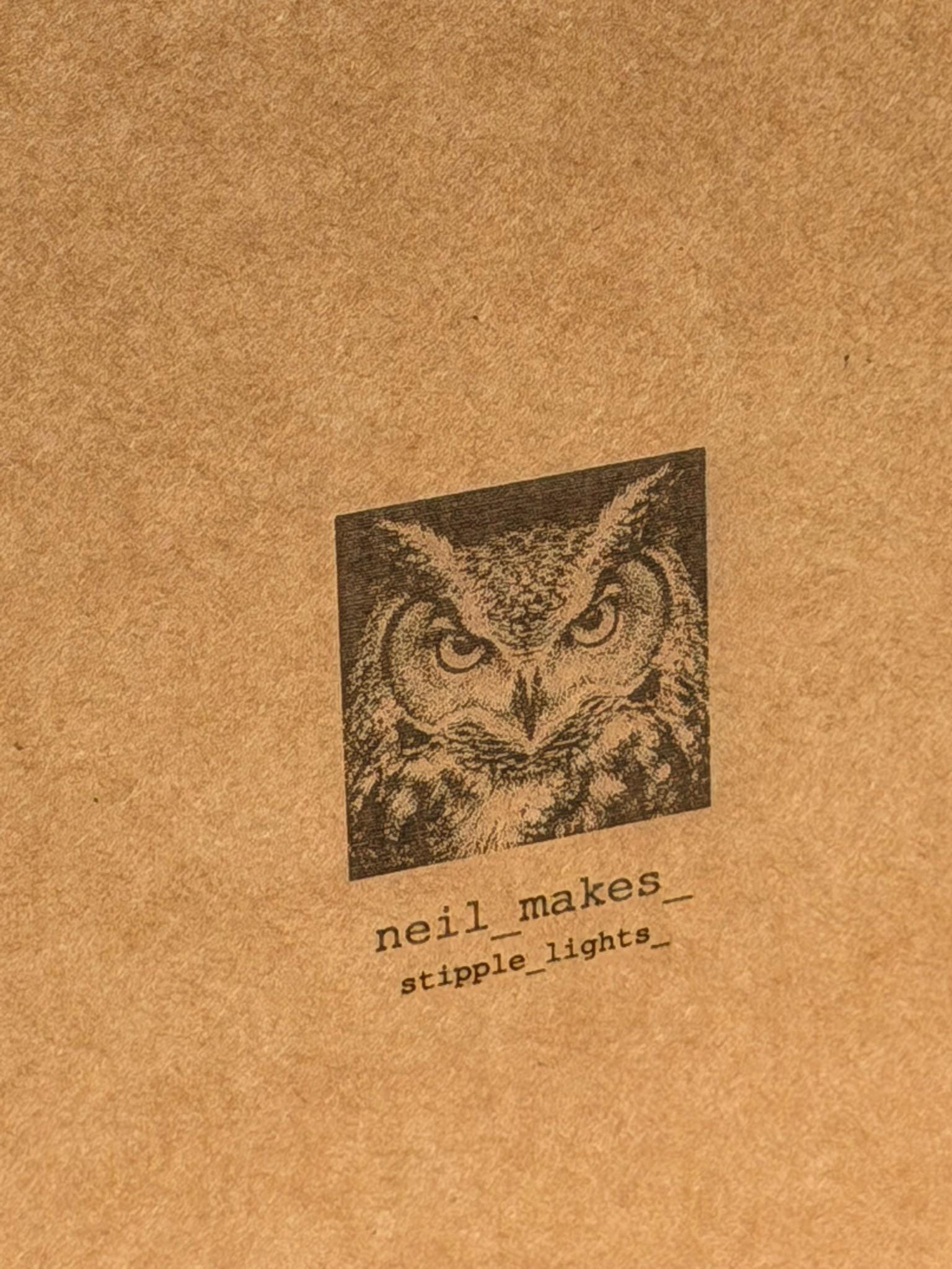 Owl Stipple Light Box | Walnut Veneer Dimmable Mood Light | Table or Wall Light | Handmade in Somerset UK