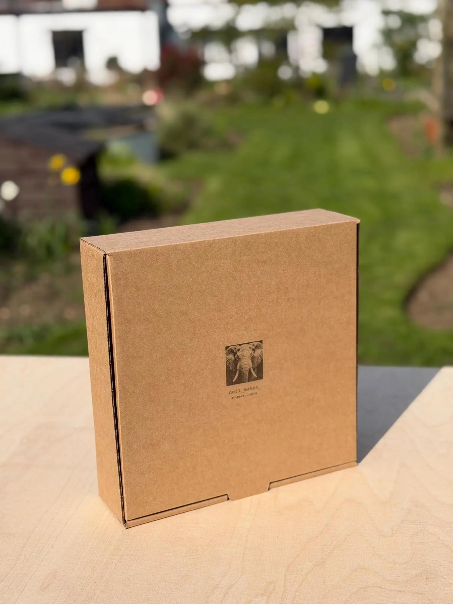 Elephant Stipple Mood Lamp | Walnut Shadow Box Light | Handmade UK
