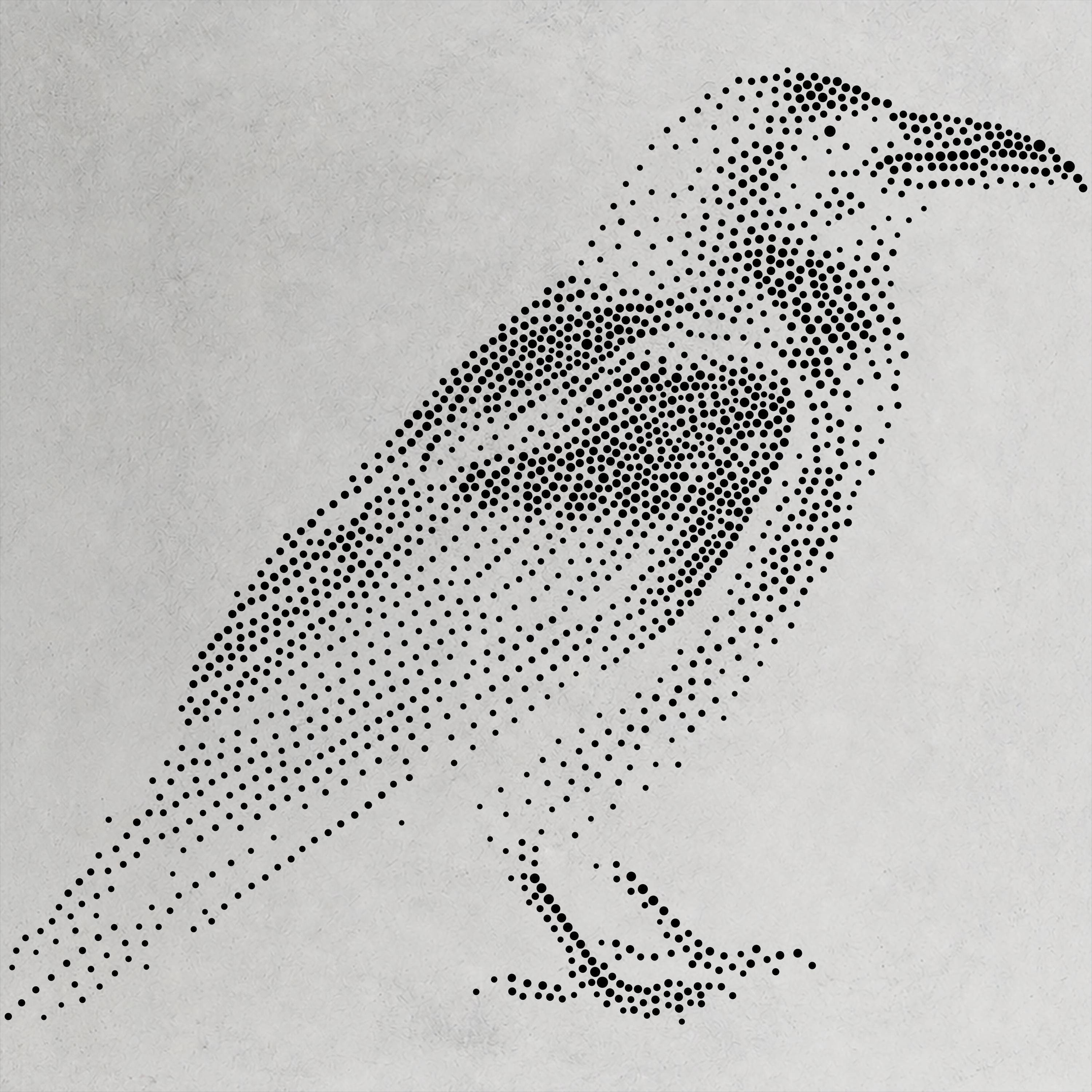 Realistic Raven Stencil | Highly Detailed DIY Mylar Wall Art, Stipple Art Crafts (Large - 300mm / 12" approx)