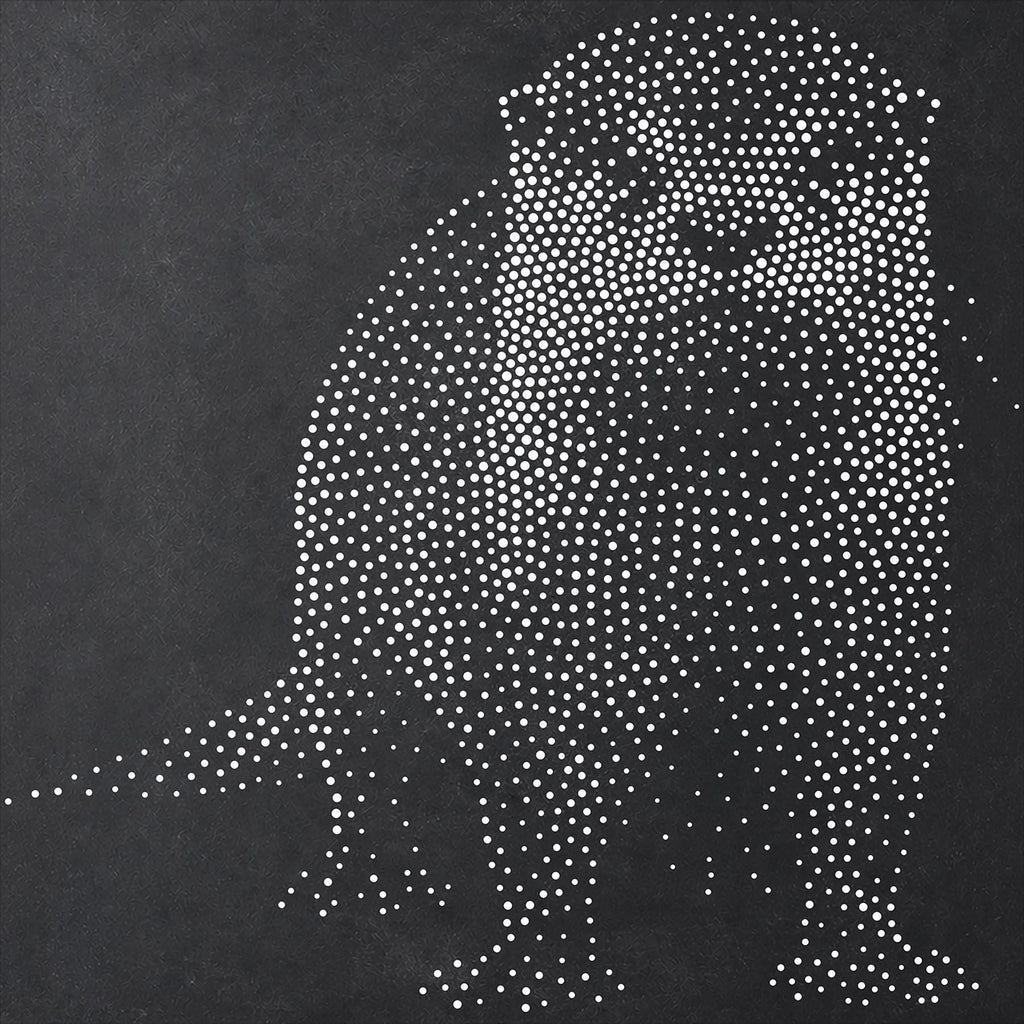 Realistic Otter Stencil | Highly Detailed DIY Mylar Wall Art, Stipple Art Crafts (Large - 300mm / 12" approx)