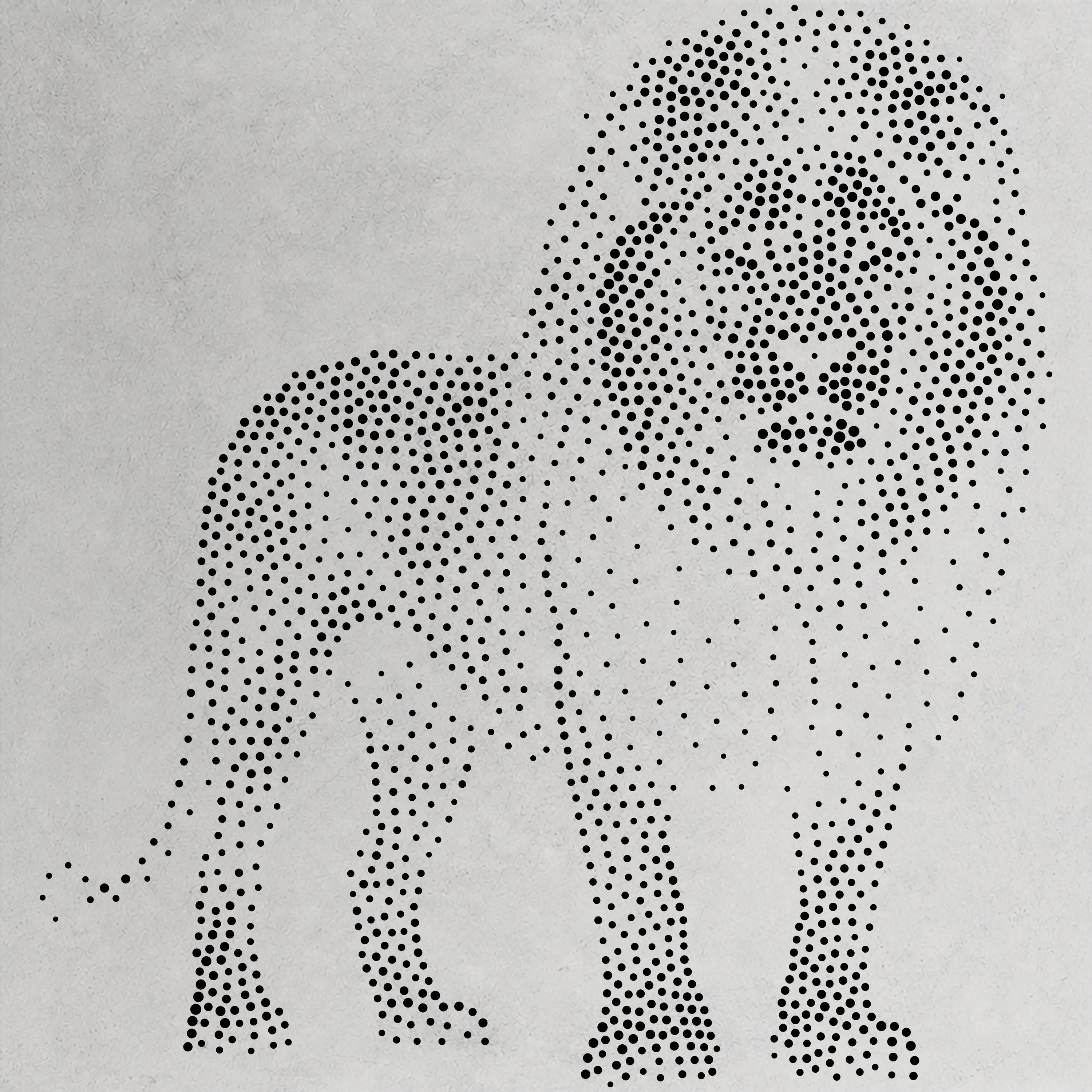 Realistic Lion Stencil | Highly Detailed DIY Mylar Wall Art, Stipple Art Crafts (Large - 300mm / 12" approx)
