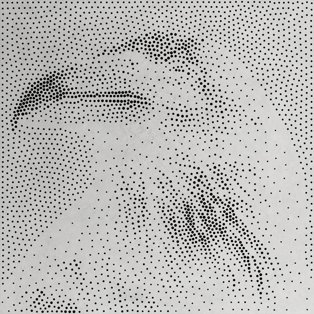 Raven Stencil | Realistic Highly Detailed DIY Mylar Wall Art, Stipple Art Crafts (Large - 300mm / 12" approx)