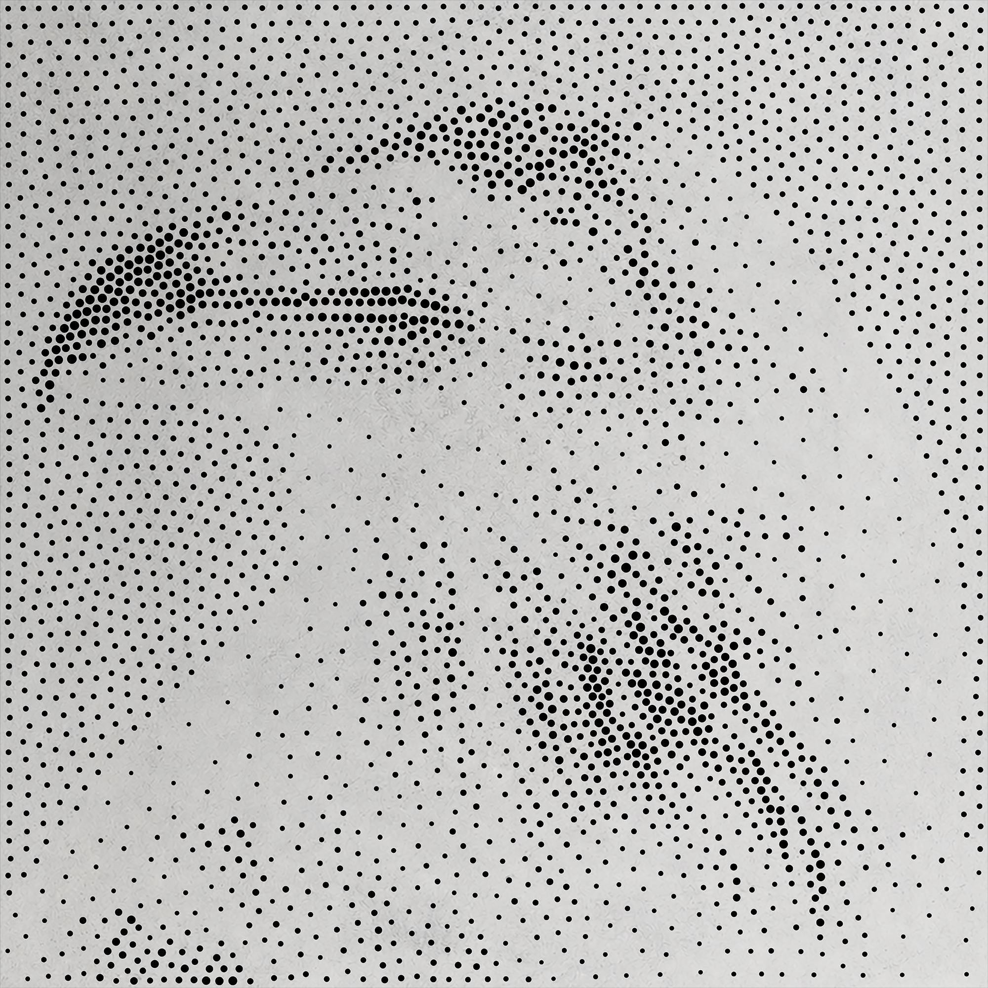 Raven Stencil | Realistic Highly Detailed DIY Mylar Wall Art, Stipple Art Crafts (Large - 300mm / 12" approx)