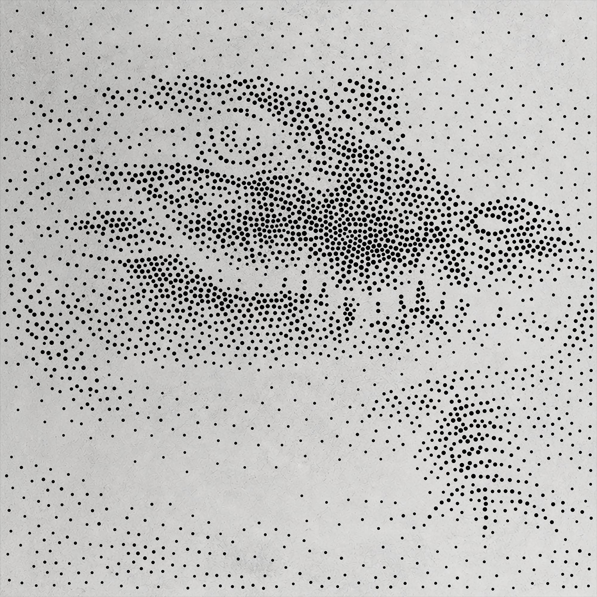 Crocodile Stencil | Realistic Highly Detailed DIY Mylar Wall Art, Stipple Art Crafts (Large - 300mm / 12" approx)
