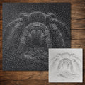 Tarantula Stencil | Realistic Highly Detailed DIY Mylar Wall Art, Stipple Art Crafts (Large - 300mm / 12" approx)