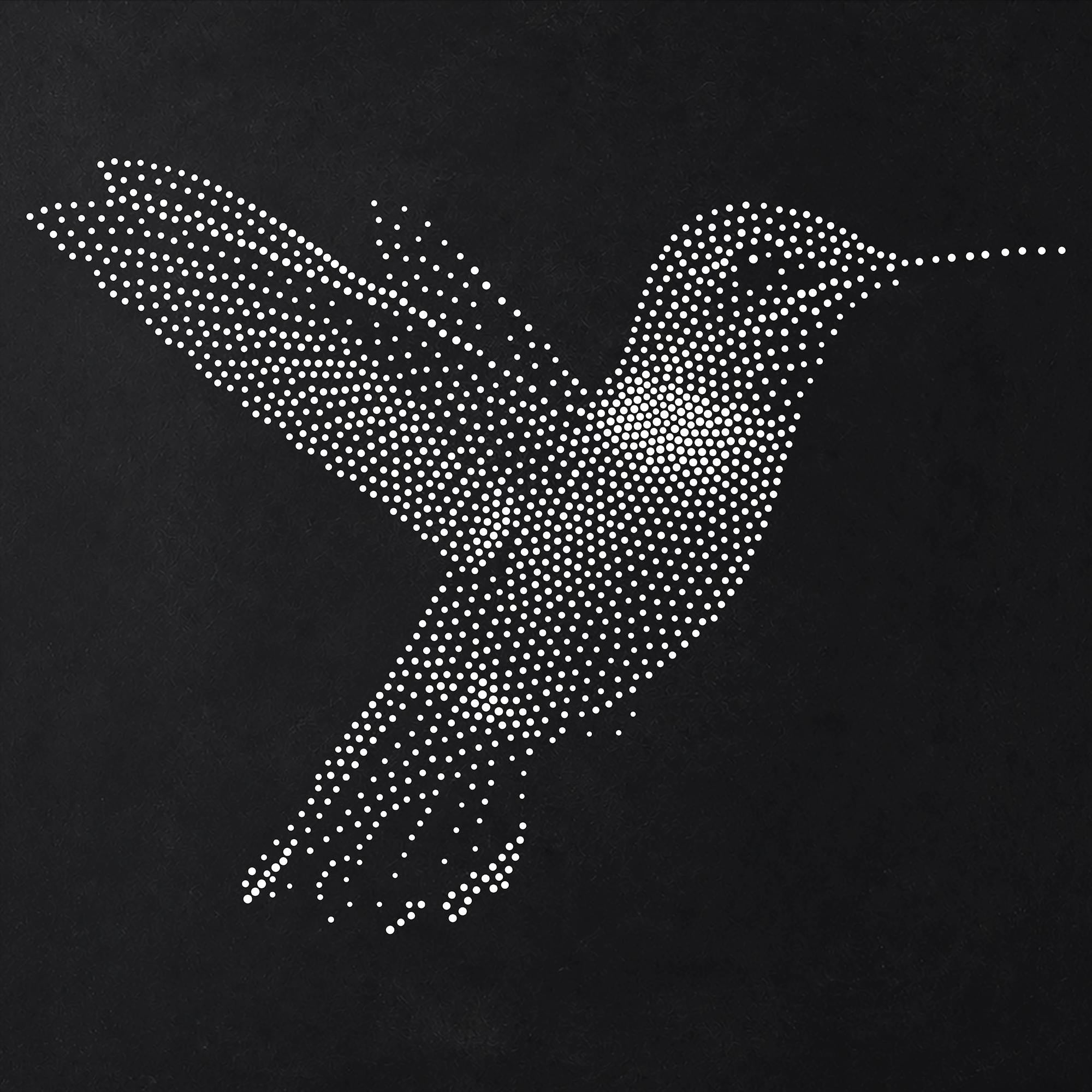 Hummingbird Stipple Art Stencil | Realistic Mylar Wall Art, Crafts (Large - 300mm / 12" approx)