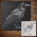 Realistic Raven Stencil | Highly Detailed DIY Mylar Wall Art, Stipple Art Crafts (Large - 300mm / 12" approx)
