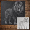 Realistic Lion Stencil | Highly Detailed DIY Mylar Wall Art, Stipple Art Crafts (Large - 300mm / 12" approx)