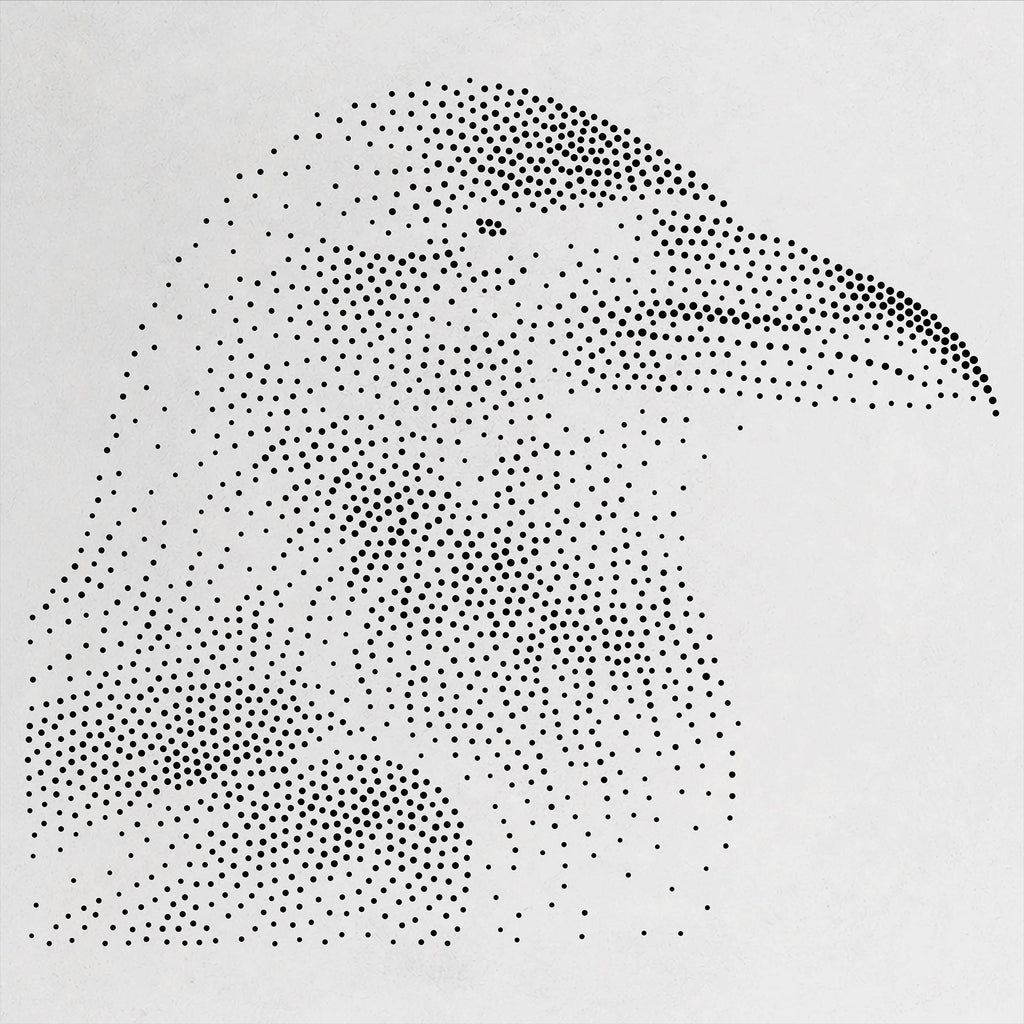 Crow Bird Stipple Art Stencil | Realistic Mylar Wall Art, Crafts (Large - 300mm / 12" approx)