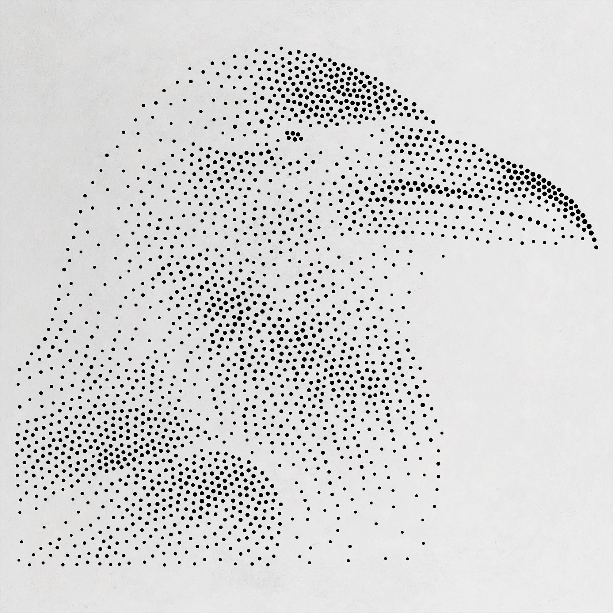 Crow Bird Stipple Art Stencil | Realistic Mylar Wall Art, Crafts (Large - 300mm / 12" approx)