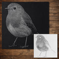 Robin Bird Stipple Art Stencil | Realistic Mylar Wall Art, Crafts (Large - 300mm / 12" approx)