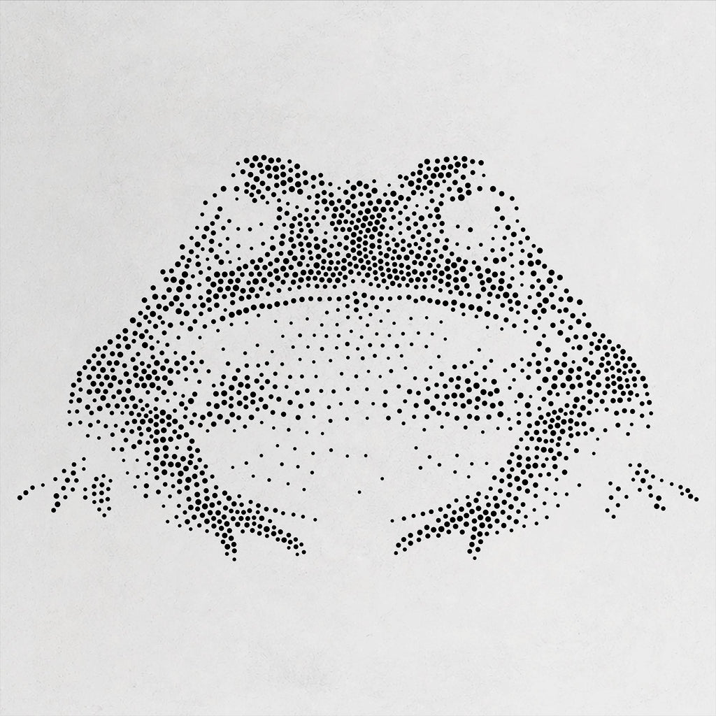 Realistic Toad Stipple Art Stencil | Reusable Mylar Wall Crafts (Large - 300mm / 12" approx)