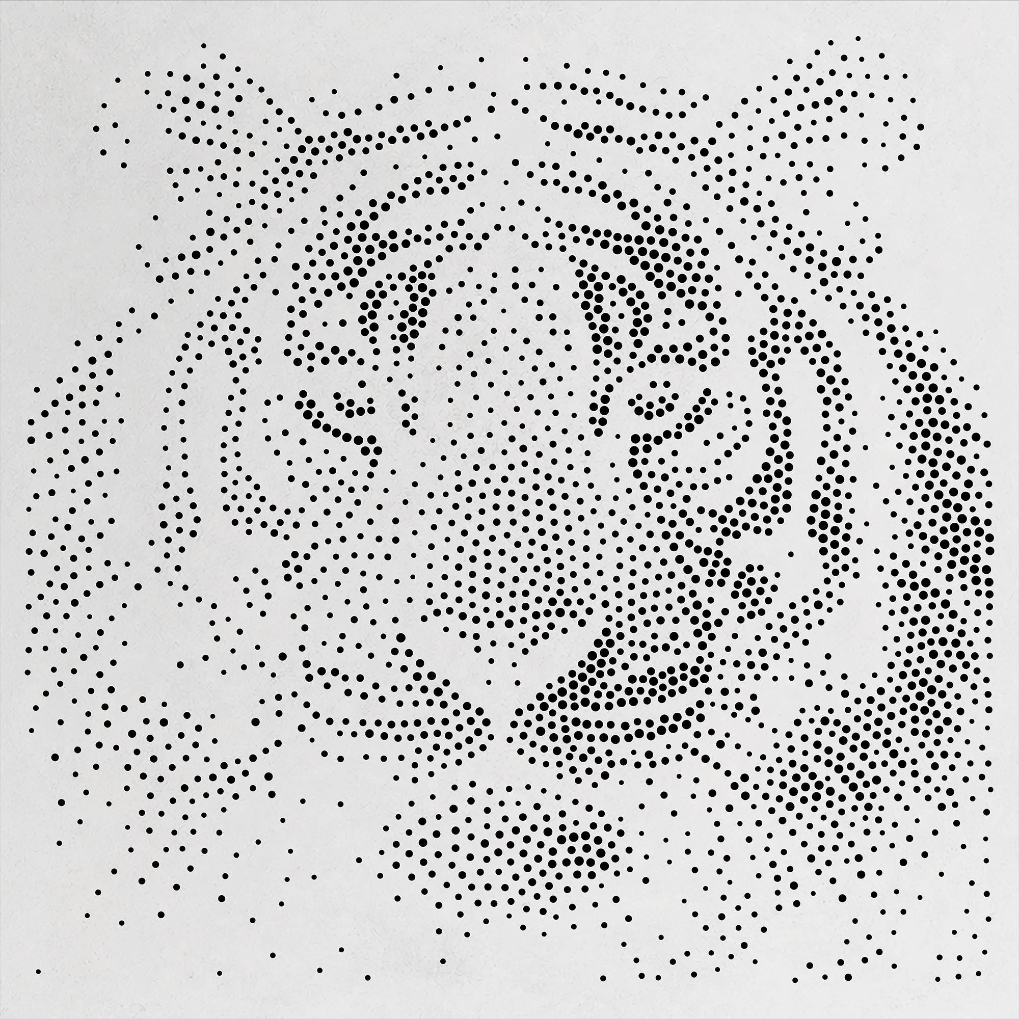 Realistic Tiger Stipple Art Stencil | Reusable Mylar Wall Art, Crafts (Large - 300mm / 12" approx)