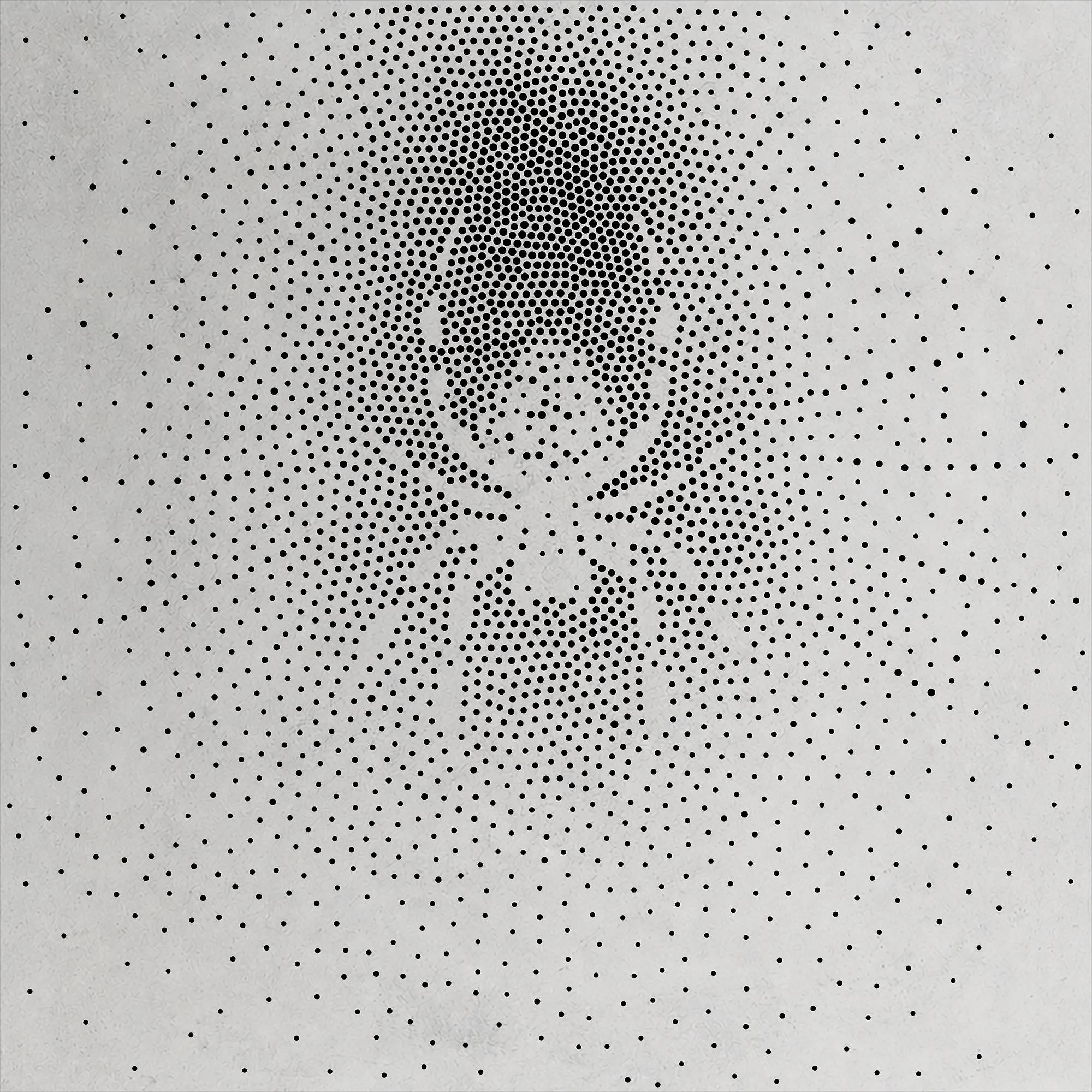 Spider on Web Stencil | Realistic Highly Detailed DIY Mylar Wall Art, Stipple Art Crafts (Large - 300mm / 12" approx)