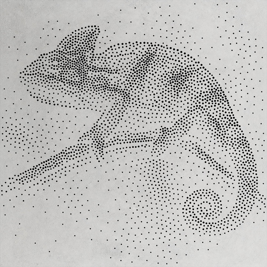 Chameleon Stencil | Realistic Highly Detailed DIY Mylar Wall Art, Stipple Art Crafts (Large - 300mm / 12" approx)