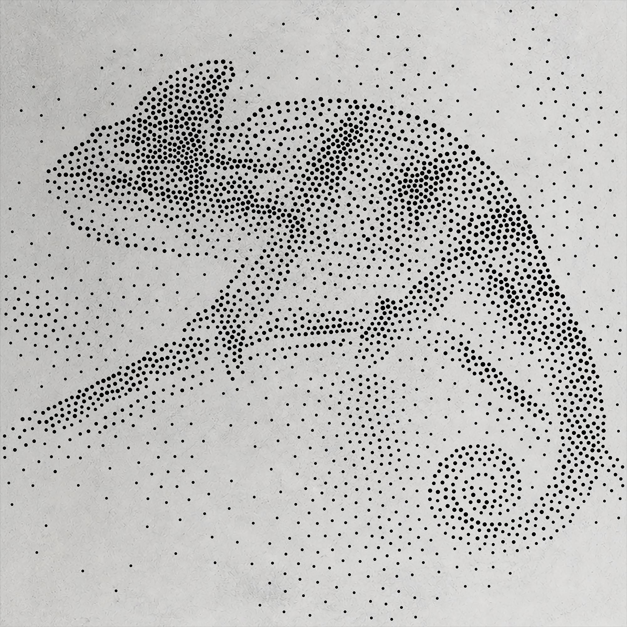 Chameleon Stencil | Realistic Highly Detailed DIY Mylar Wall Art, Stipple Art Crafts (Large - 300mm / 12" approx)