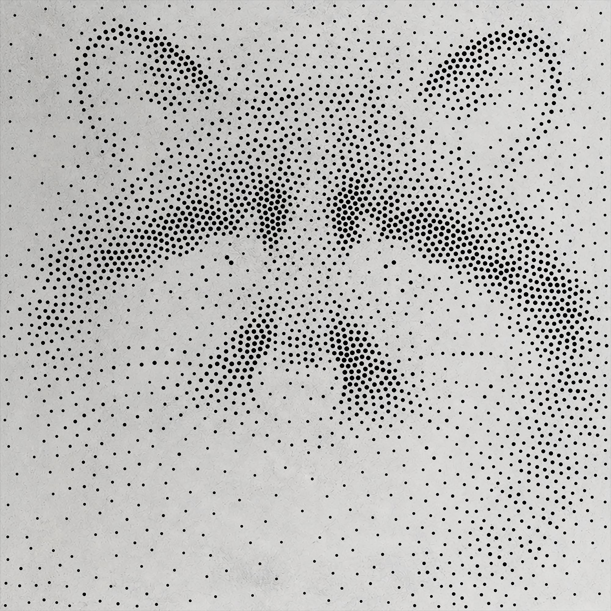 Raccoon Stencil | Realistic Highly Detailed DIY Mylar Wall Art, Stipple Art Crafts (Large - 300mm / 12" approx)