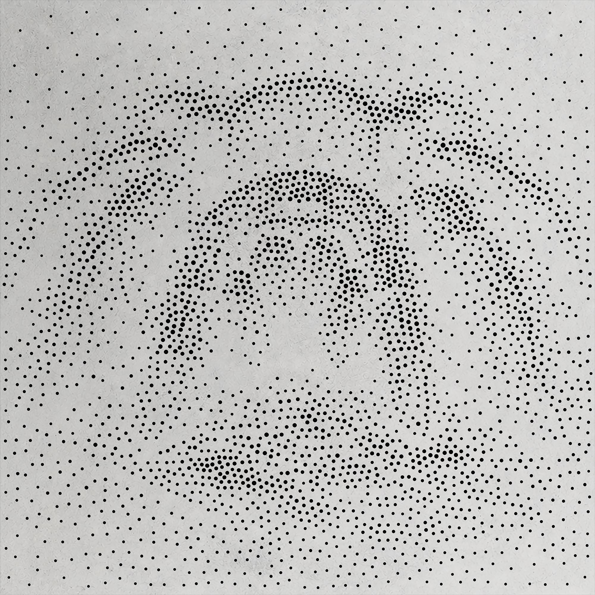 Tarantula Stencil | Realistic Highly Detailed DIY Mylar Wall Art, Stipple Art Crafts (Large - 300mm / 12" approx)