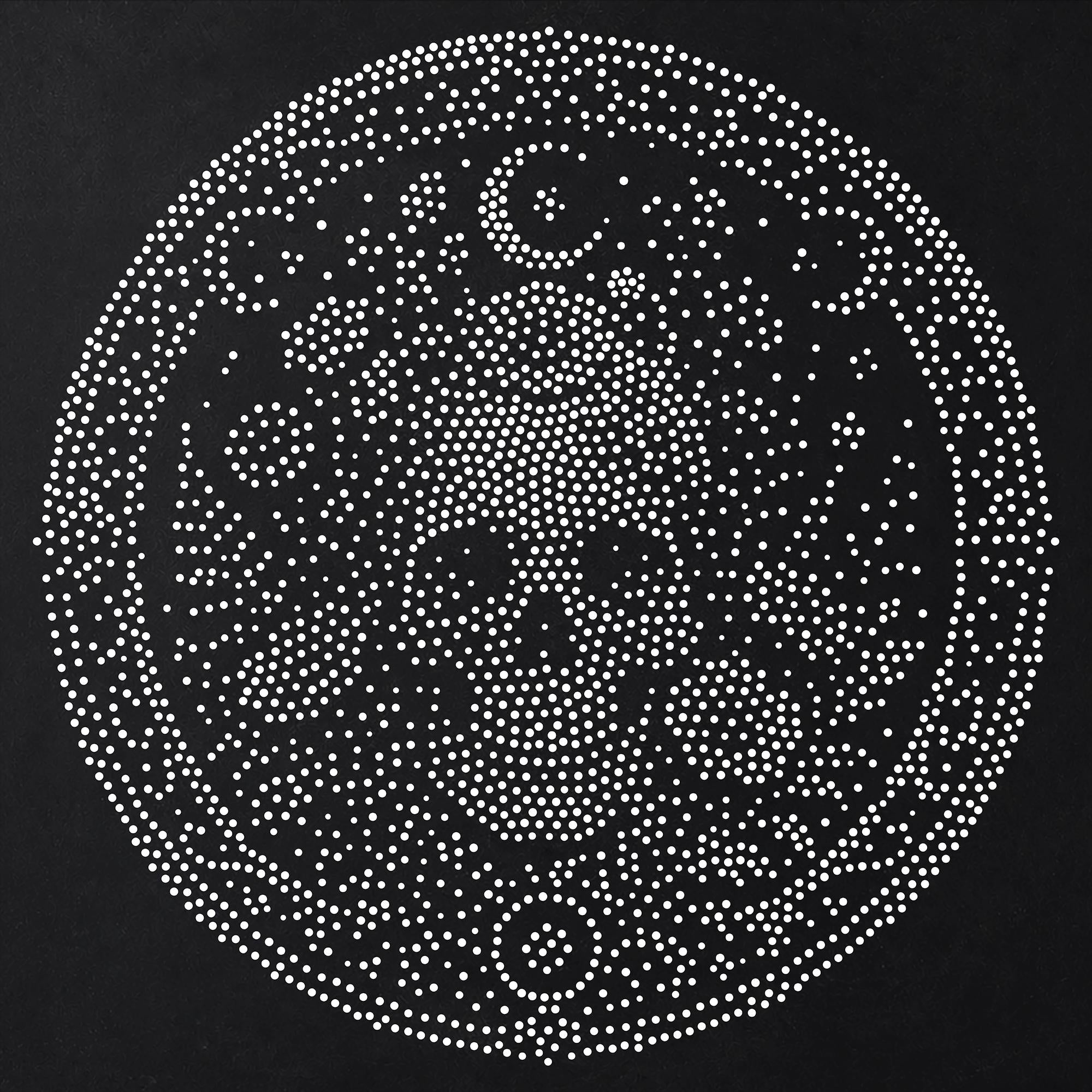 Wildflower Skull Medallion Stipple Art Stencil | Realistic Mylar Wall Art, Crafts (Large - 300mm / 12" approx)