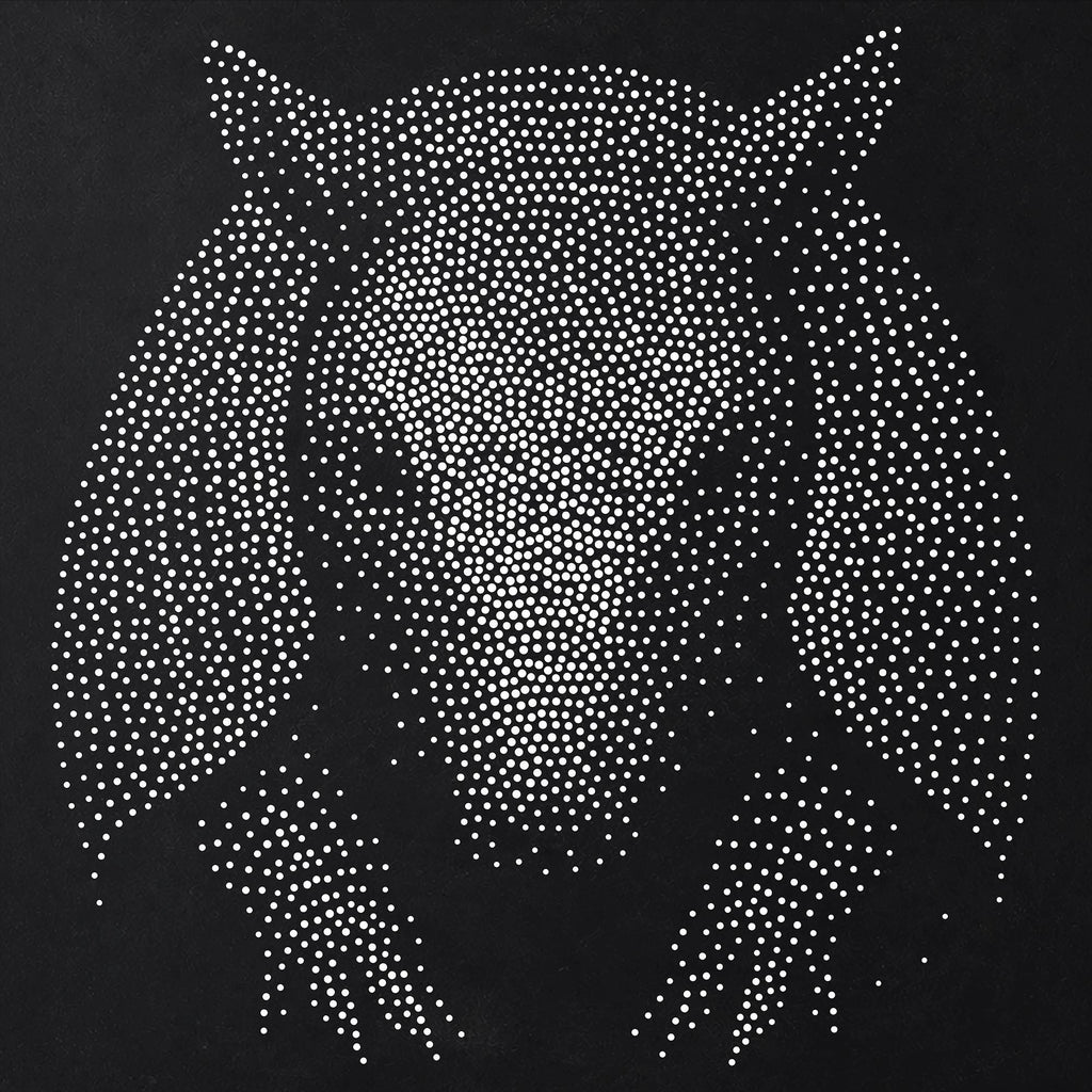Armadillo Stipple Art Stencil | Realistic Mylar Wall Art, Crafts (Large - 300mm / 12" approx)