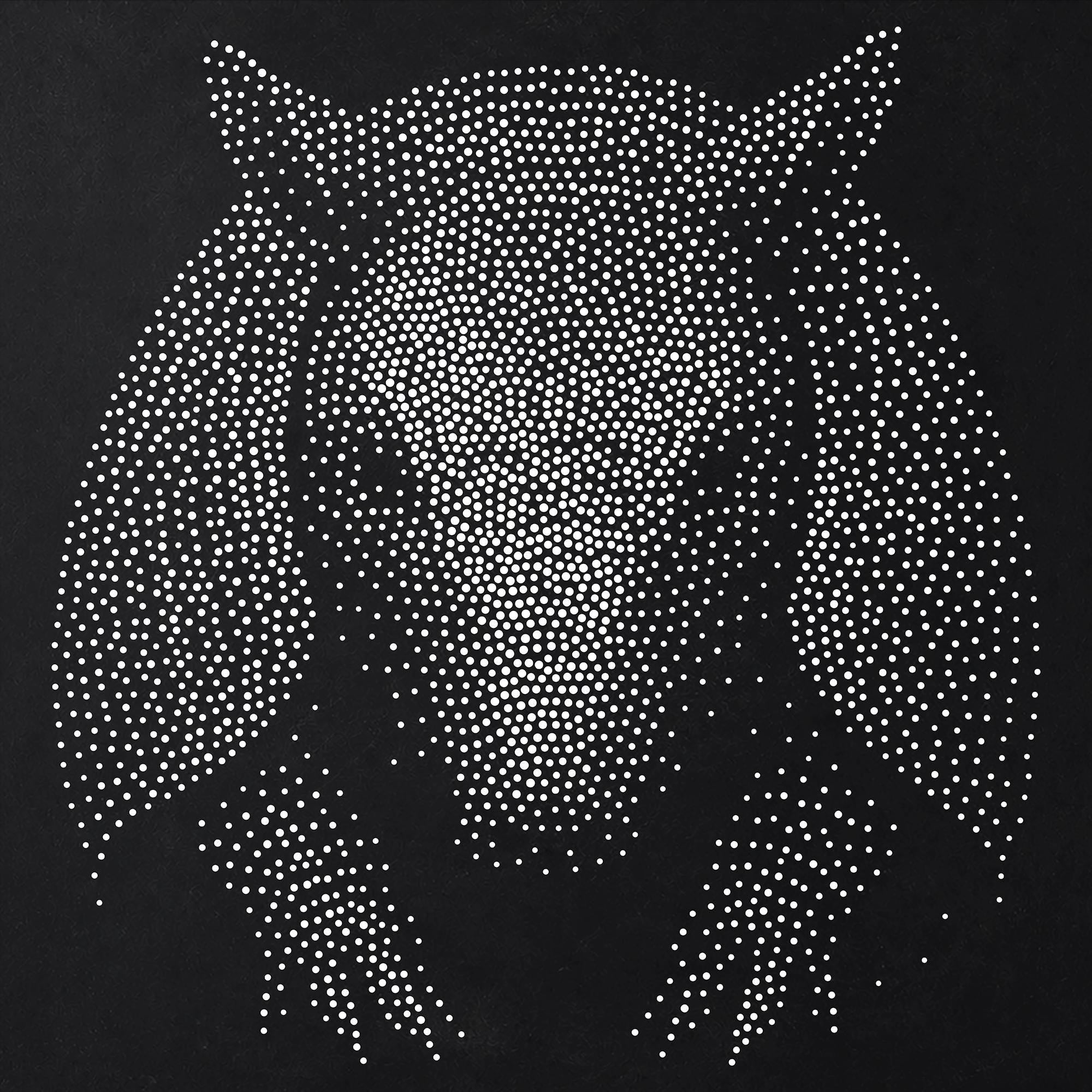 Armadillo Stipple Art Stencil | Realistic Mylar Wall Art, Crafts (Large - 300mm / 12" approx)