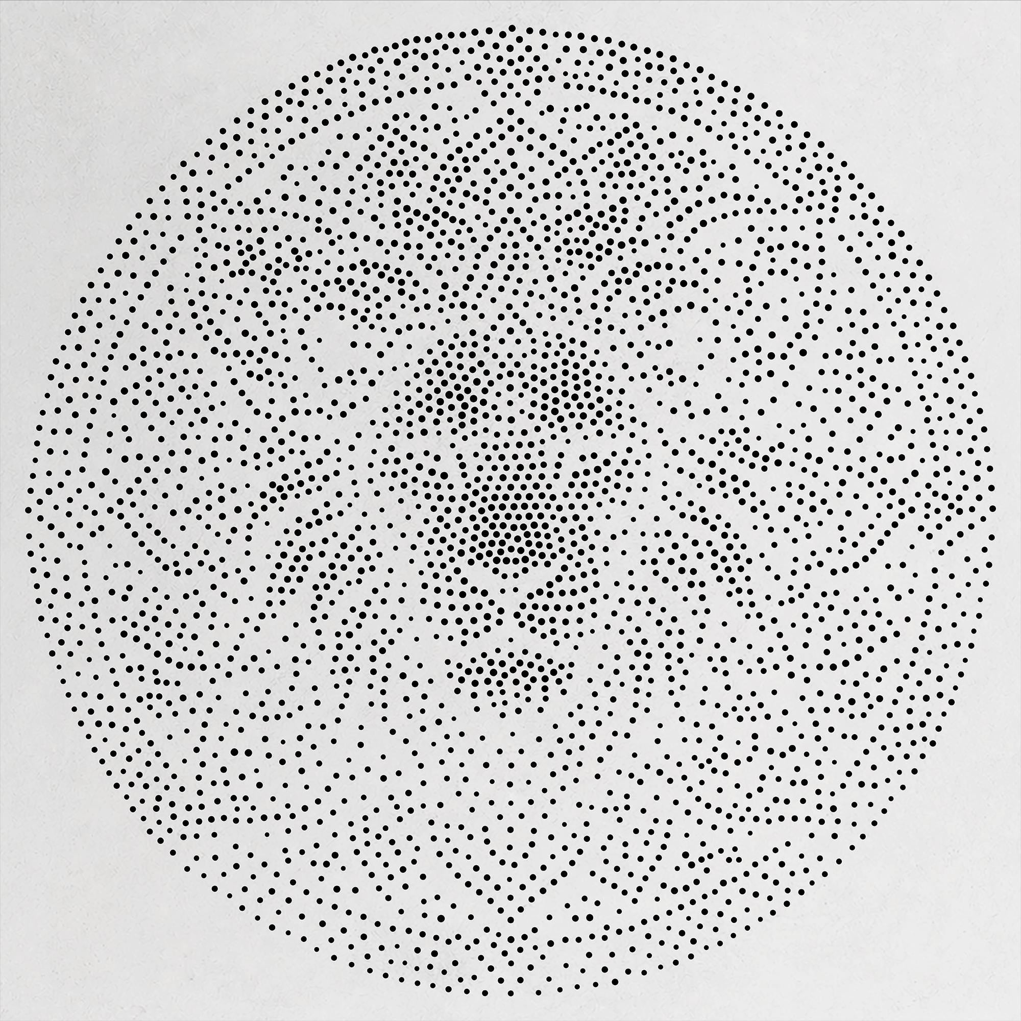 Lion Mandala Stipple Art Stencil | Realistic Mylar Wall Art, Crafts (Large - 300mm / 12" approx)