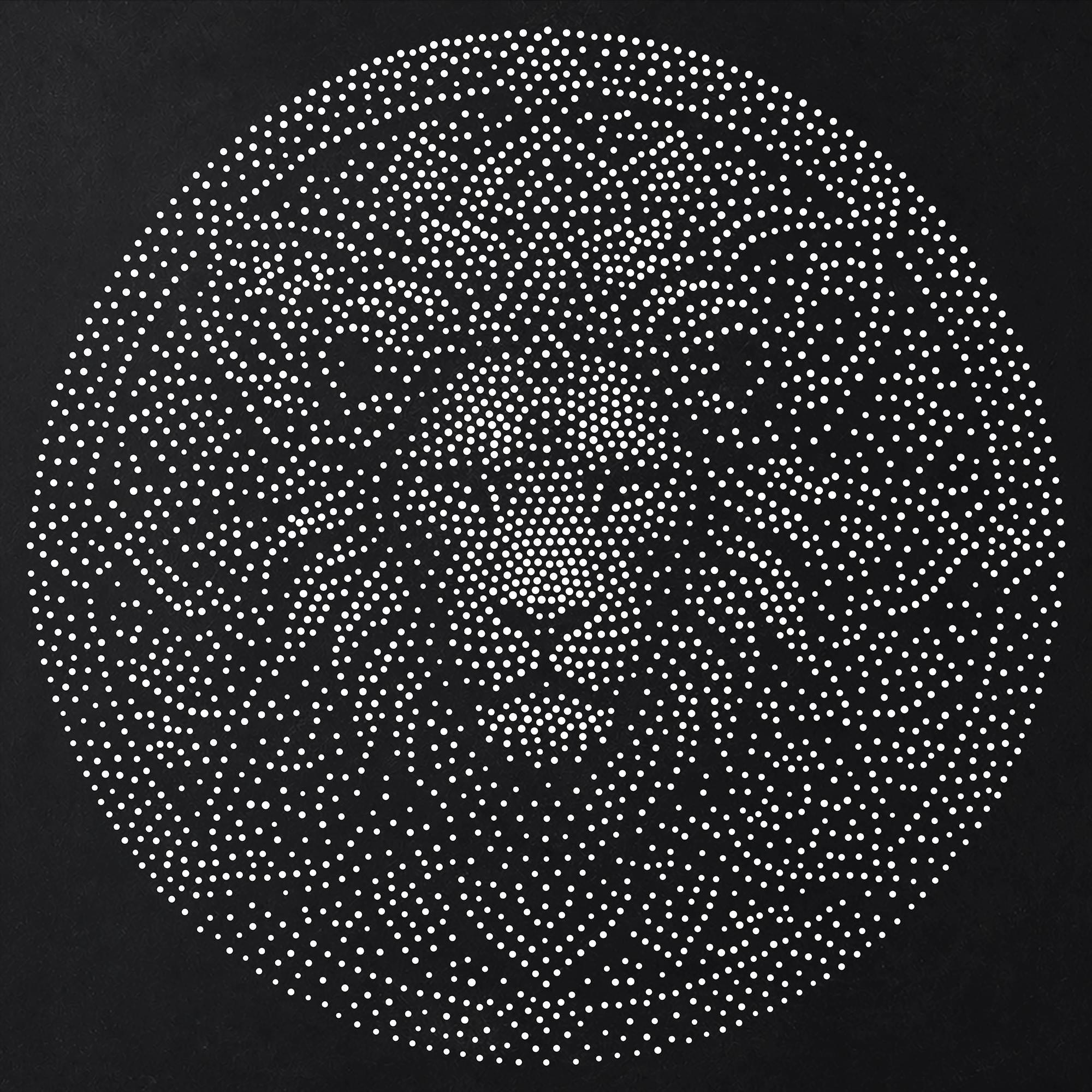 Lion Mandala Stipple Art Stencil | Realistic Mylar Wall Art, Crafts (Large - 300mm / 12" approx)