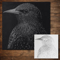 Starling Bird Stipple Art Stencil | Realistic Animal Mylar Craft Stencil (Large - 300mm / 12" approx)