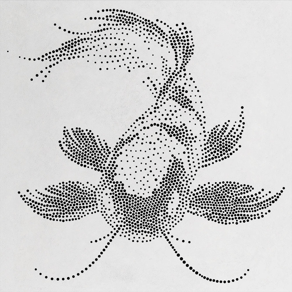 Realistic Koi Carp Stencil | Mylar Stipple Art for Wall Crafts (Large - 300mm / 12" approx)