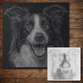 Border Collie Dog Stencil reusable Mylar stencil, 300 x 300 mm