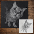 Tabby Cat Close Up Stencil reusable Mylar stencil, 300 x 300 mm