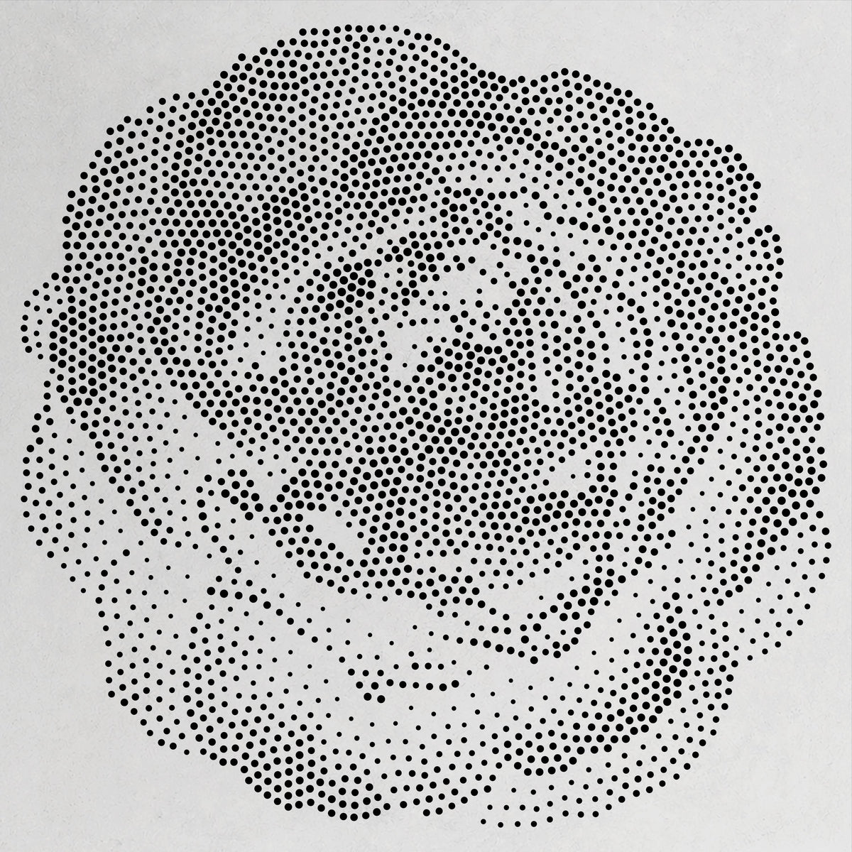 Peony Flower Bloom Stencil | Realistic Mylar Stipple Wall Art, Crafts (Large - 300mm / 12" approx)