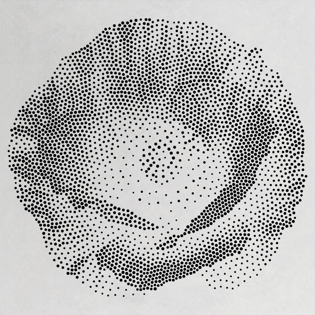 Poppy Flower Stencil | Realistic Mylar Stipple Wall Art, Crafts (Large - 300mm / 12" approx)