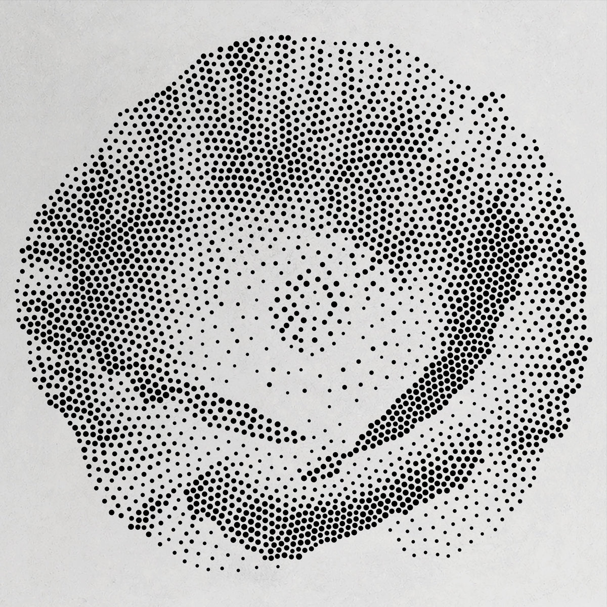 Poppy Flower Stencil | Realistic Mylar Stipple Wall Art, Crafts (Large - 300mm / 12" approx)