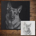 German Shepherd Dog Stencil reusable Mylar stencil, 300 x 300 mm