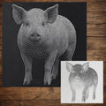 Pig Stencil reusable Mylar stencil, 300 x 300 mm