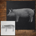 Pig Side Profile Stencil reusable Mylar stencil, 300 x 300 mm