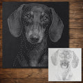 Dachshund Dog Stencil reusable Mylar stencil, 300 x 300 mm