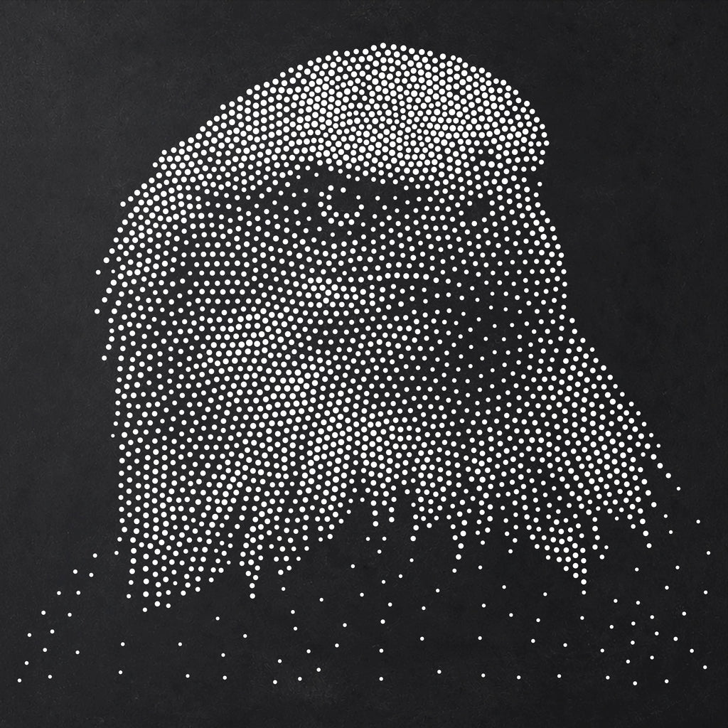 Bald Eagle Portrait Stencil | Realistic Mylar Stipple Wall Art, Crafts (Large - 300mm / 12" approx)