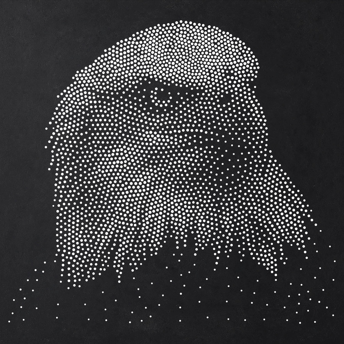 Bald Eagle Portrait Stencil | Realistic Mylar Stipple Wall Art, Crafts (Large - 300mm / 12" approx)