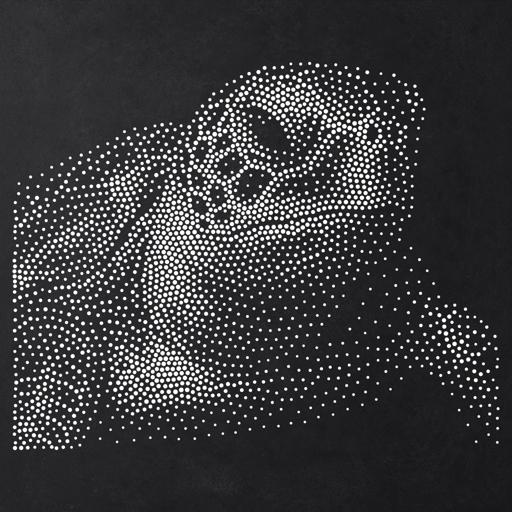 Sea Turtle Portrait Stencil | Realistic Mylar Stipple Wall Art, Crafts (Large - 300mm / 12" approx)