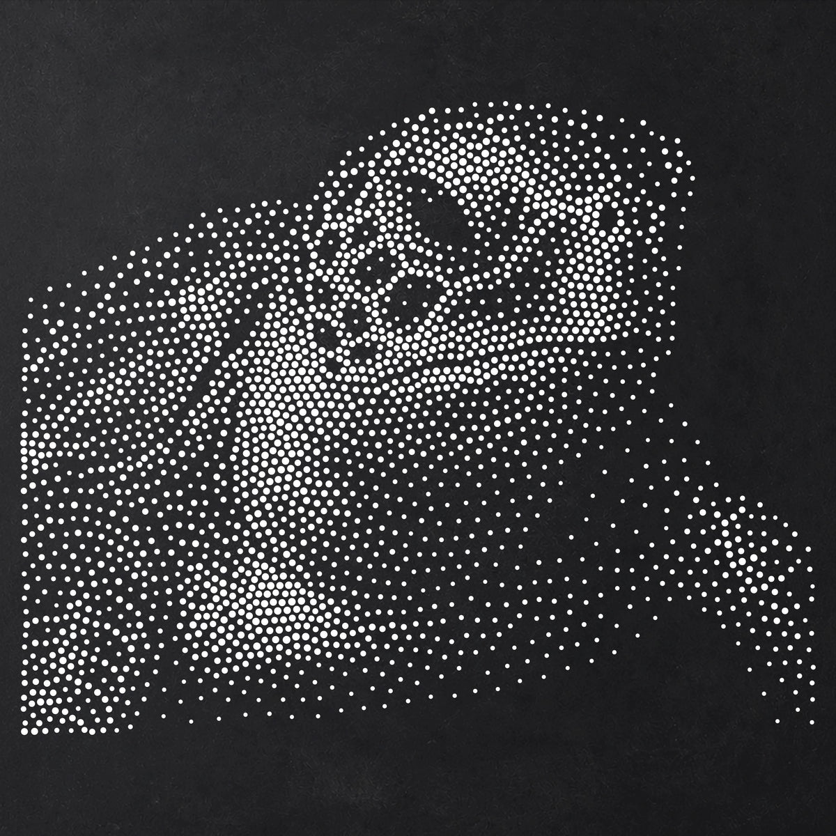 Sea Turtle Portrait Stencil | Realistic Mylar Stipple Wall Art, Crafts (Large - 300mm / 12" approx)