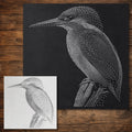 Kingfisher Bird Stencil reusable Mylar stencil, 300 x 300 mm