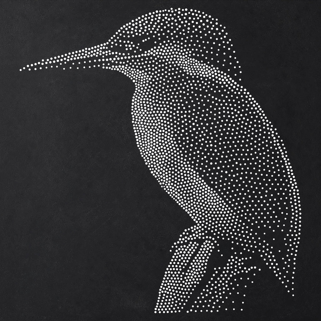 Kingfisher Bird Stencil | Realistic Mylar Stipple Wall Art, Crafts (Large - 300mm / 12" approx)