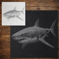 Great White Shark Stencil reusable Mylar stencil, 300 x 300 mm